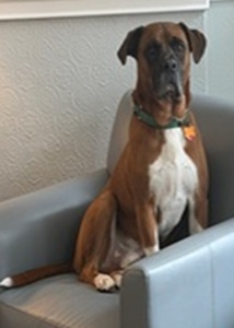 Gus